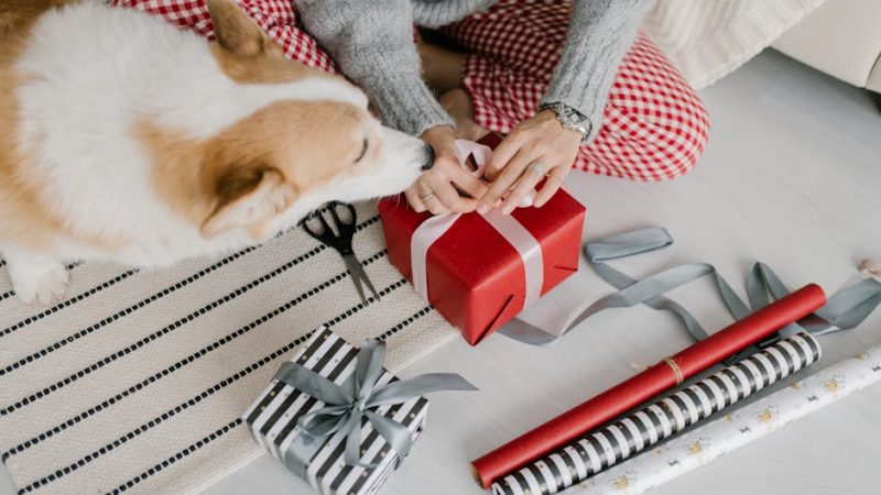 Купить подарок девочке 8