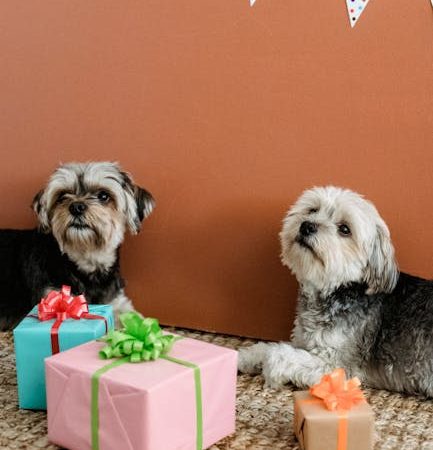 Купить подарок на пенсию