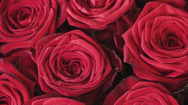 Какой подарок сделать на 18 лет