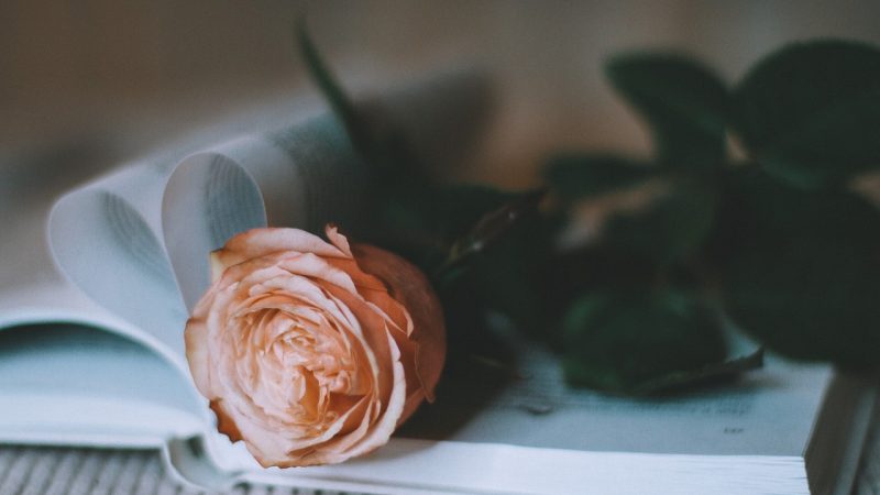 Магазин 100 подарков