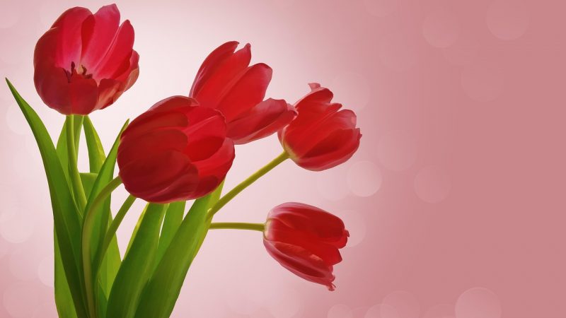 Какой подарок дочери