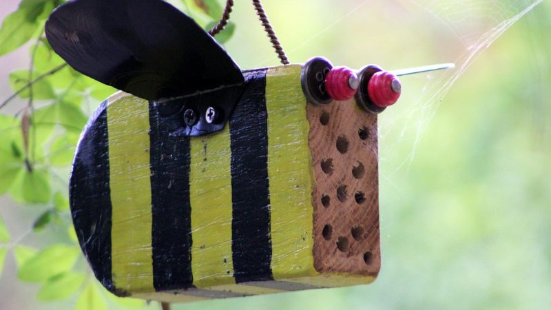 Какой подарок можно покупать