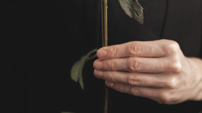 Какие подарки могут получать служащие