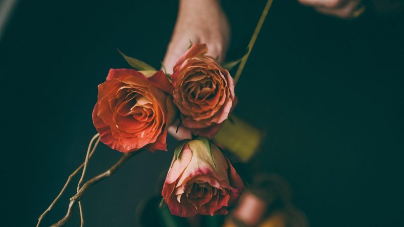 Какой подарок подарить на год