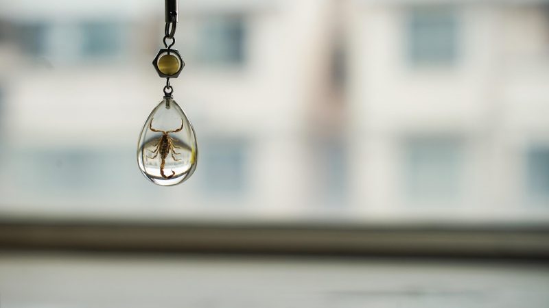 Настоящее в подарок